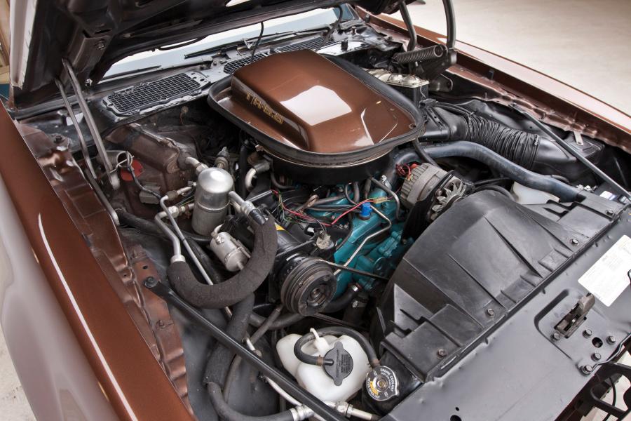  Pontiac Firebird Trans Am Coupe 1979 года  (фото 20 из 21)
